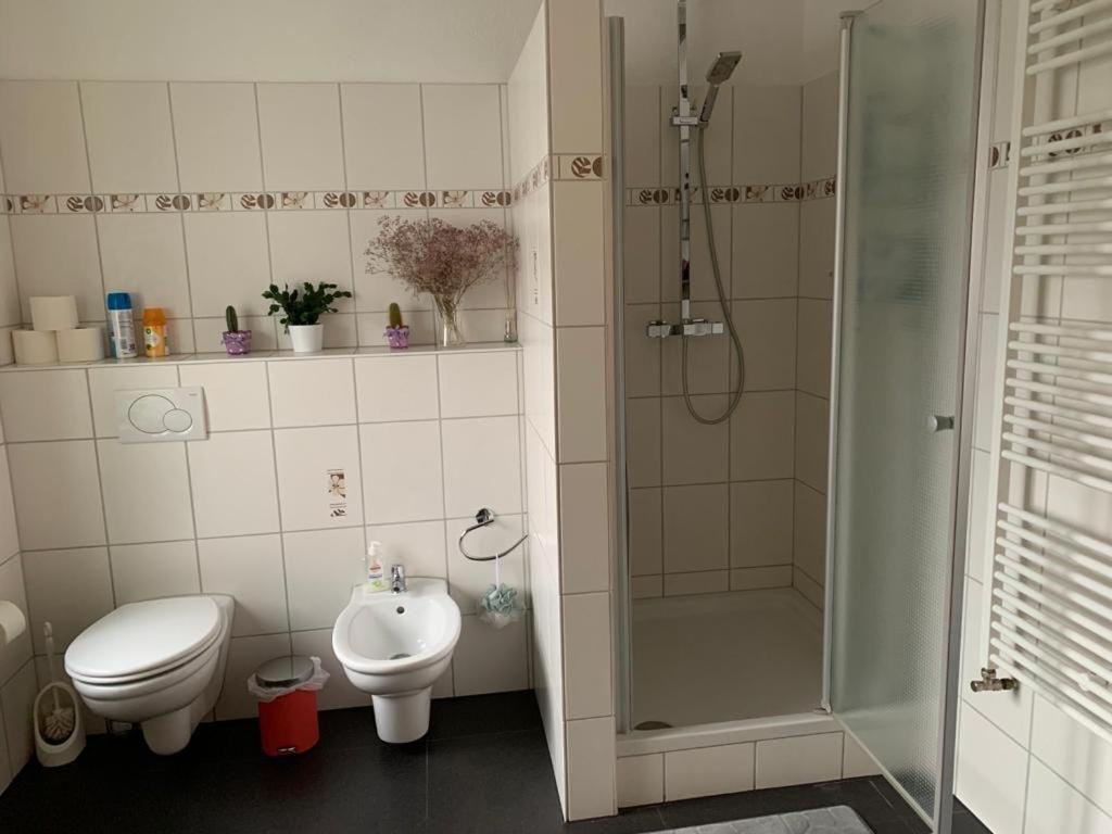Guenstige Zimmer-Unterkunft Zimmer Mit Gemeinschaftsbad Lörrach Екстериор снимка