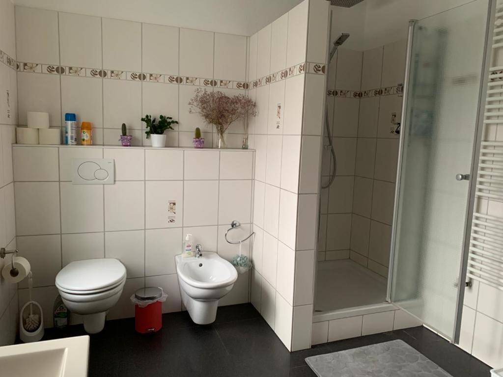Guenstige Zimmer-Unterkunft Zimmer Mit Gemeinschaftsbad Lörrach Екстериор снимка